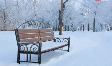 Павлодар облысында ақпан айында жел мен боран жиі соғады