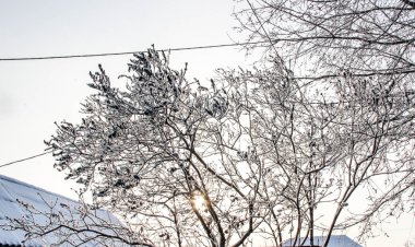 1 ақпанда Павлодар облысында жауын-шашын күтілмейді