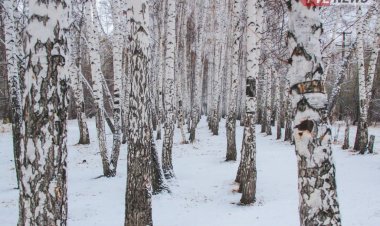 2 ақпанда Павлодар облысында аяз болады