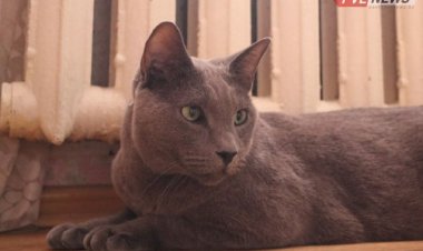 Екібастұзда жылу өшіріледі