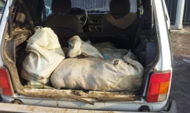 Екібастұзда тым көп балық аулаған тұрғынға айыппұл салынды