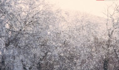 7 ақпанда Павлодар облысында қар жауады