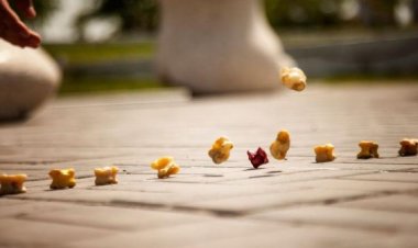 Павлодарлық спортшылар асық ойындарынан Еуразия кубогының жүлдегерлері атанды