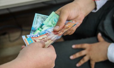 Павлодарда «әкімдік арқылы» жылдам үй алғысы келген туыстар алданып қалды