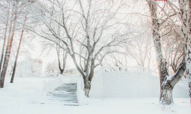 Сәрсенбі күні Павлодар  облысында қар жауады