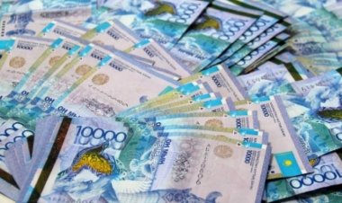Прием заявок на госгранты стартует в Павлодарской области