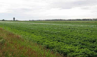 Павлодар облысының әкімі жер комиссиясының мүшелеріне жер заңын оқытуды тапсырды