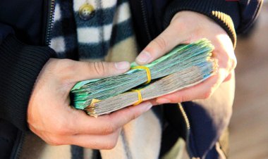 Павлодарда «ет сатып алып беремін» деп 200 млн теңге алған алаяқ ұсталды