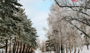13 ақпанда Павлодар облысында жауын-шашын күтілмейді