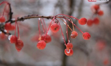 15 ақпанда Павлодар облысында жауын-шашын күтілмейді