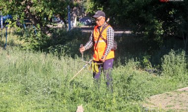 Павлодарская область стала одним из лидеров по числу работающих пенсионеров