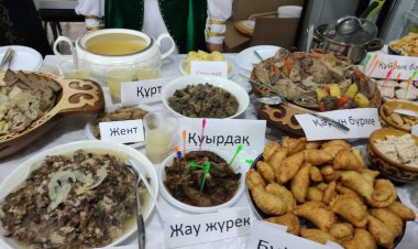 Конкурс «Үздік маман» стартует в Павлодаре