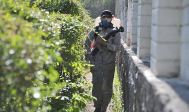 Областного подрядчика отправят на борьбу с гнусом в Актогае