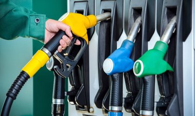 Жеңілдікпен дизель квотасын алушылардың тізімі жасалады