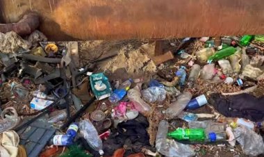 Павлодарда санитарлық талаптарды сақтамаған ұйым қомақты айыппұл арқалады