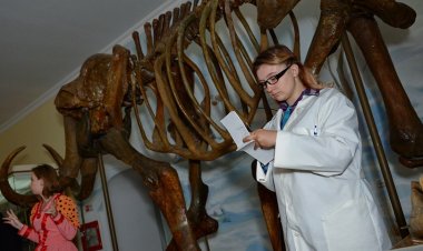 Павлодарки смогут бесплатно сходить в музеи на 8 Марта