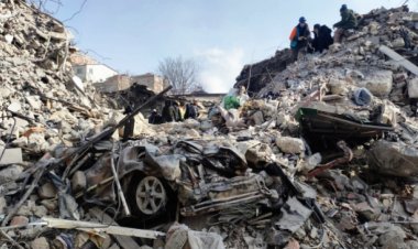 Животных нашли живыми под обломками после землетрясений в Турции