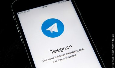 Павлодарлықтар ЖСН арқылы учаске нөмірі мен кандидаттар тізімін біле алады