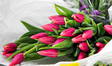 Во сколько обойдётся букет тюльпанов на 8 Марта в Павлодаре