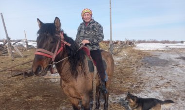 Павлодар облысында бақташы әйел  50 жылдай мал бағып келеді