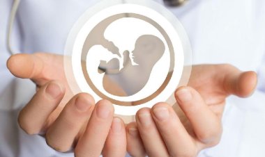 Павлодарда әрбір үшінші отбасы ЭКҰ-ға жүгінеді