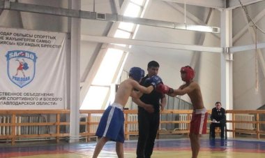 Юные павлодарцы стали призерами областного турнира по ММА