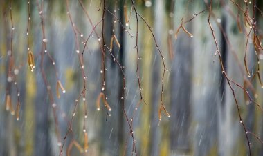 Сенбі күні Павлодар облысында көктайғақ болады