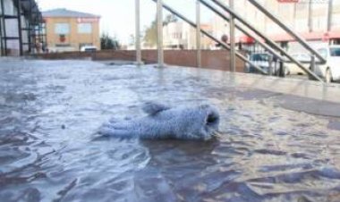 Жителей Павлодарской области предупредили о непогоде