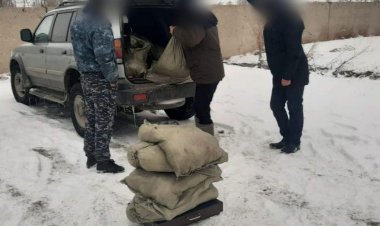 Браконьера поймали в Майском районе