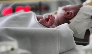 Павлодарда жаңа туған сәбиге күрделі ота жасалды