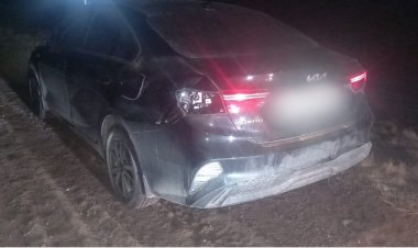 Лошади стали причиной ночного ДТП в Павлодарском районе