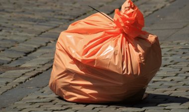 Павлодарда терезеден қоқыс тастаған жұмысшылар ұсталды