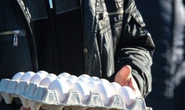 В Павлодаре снизили цены на яйца первой категории