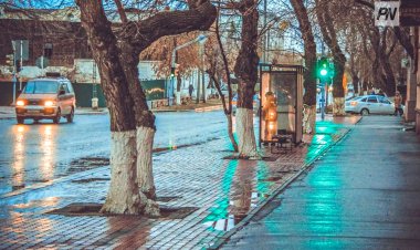 15 наурызда Павлодар  облысында қар аралас жаңбыр жауады