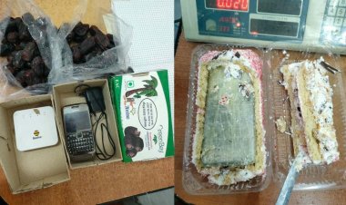 Два телефона в рулете пытались передать скотокраду в Павлодаре