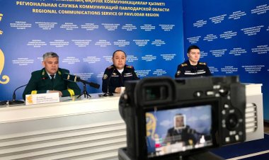Павлодар облысында ормандарға бақылау камералары орнатылады