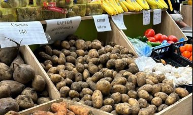 Жайлауға келіңіз! Павлодарда алты ауданнан жәрмеңкеге өнім әкелінеді