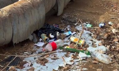 Павлодарда аулаға қоқыс төккен кәсіпкер жазаланды