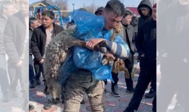 Павлодар облысында ауыл тұрғыны қошқарды  150 рет көтерді