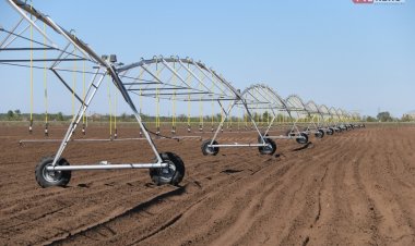 Дизель отынына ең төмен  баға  Павлодар облысында