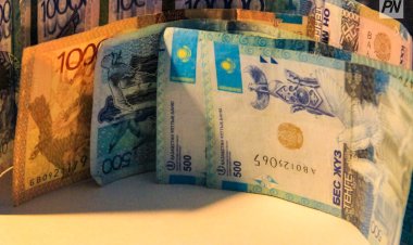 Павлодарлық шенеунікке 4 млн теңге айыппұл салынды
