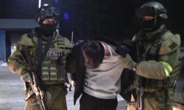 Павлодарца заподозрили в поставке наркотиков в три города