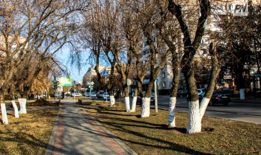 Туман обещают в Павлодарской области 25 марта