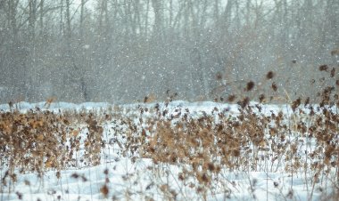 В Павлодаре обновился температурный максимум почти за полвека