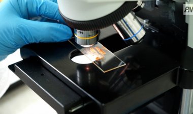 Отличия кори от гриппа напомнили павлодарские медики