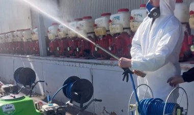 Подрядчик по обработке гнуса в Павлодаре обновит оборудование