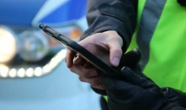 Павлодар - Қызылорда жолында құжаттарсыз мал тасымалдаған жүргізуші ұсталды