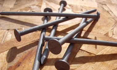 Членовредительство в колонии Павлодара: известны подробности