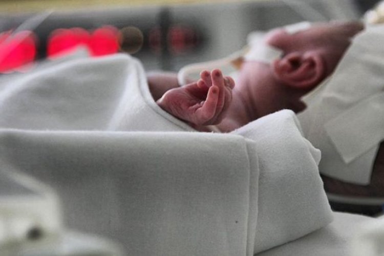 Сүтті жақыннан сору