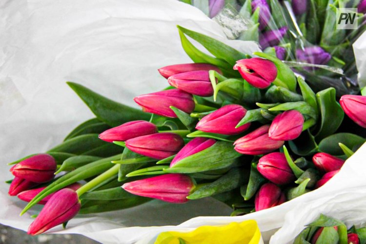 Во сколько обойдётся букет тюльпанов на 8 Марта в Павлодаре